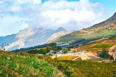 stellenbosch is a town in the western cape province of south africa, situated about 50 kilometres (31 miles) east of cape town, along the banks of the eerste river at the foot of the stellenbosch