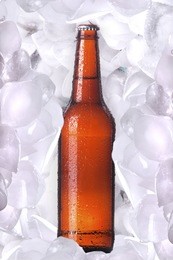bottle of cold beer is in ice