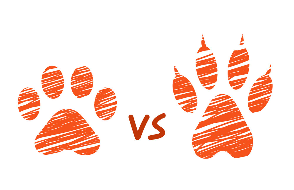 dog and cat footprints, stylized scratched paws, hatched animal