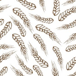 vector hand drawn seamless pattern of wheat,barley cereals, grains. isolated on white background. graphic texture for bakery template. for restaurant, bakery shop, web, poster, textile

