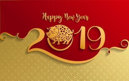 happy chinese new year 2019 zodiac sign with gold paper cut art and craft style on color background.(chinese translation : year of the pig)
