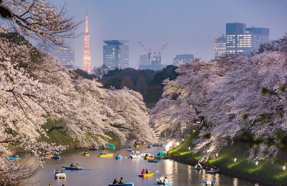 tokyo tower and chidorigafuchi view taken from in front of kitanomaru park
