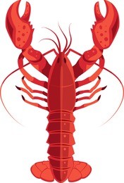red lobster isolated vector illustration. flat modern color style.