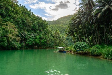 loboc jungle river on bohol, philippines
