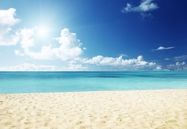 sand of beach caribbean sea