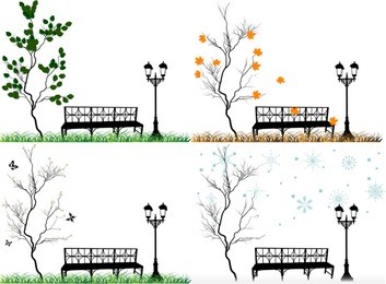 illustration with four seasons in park
