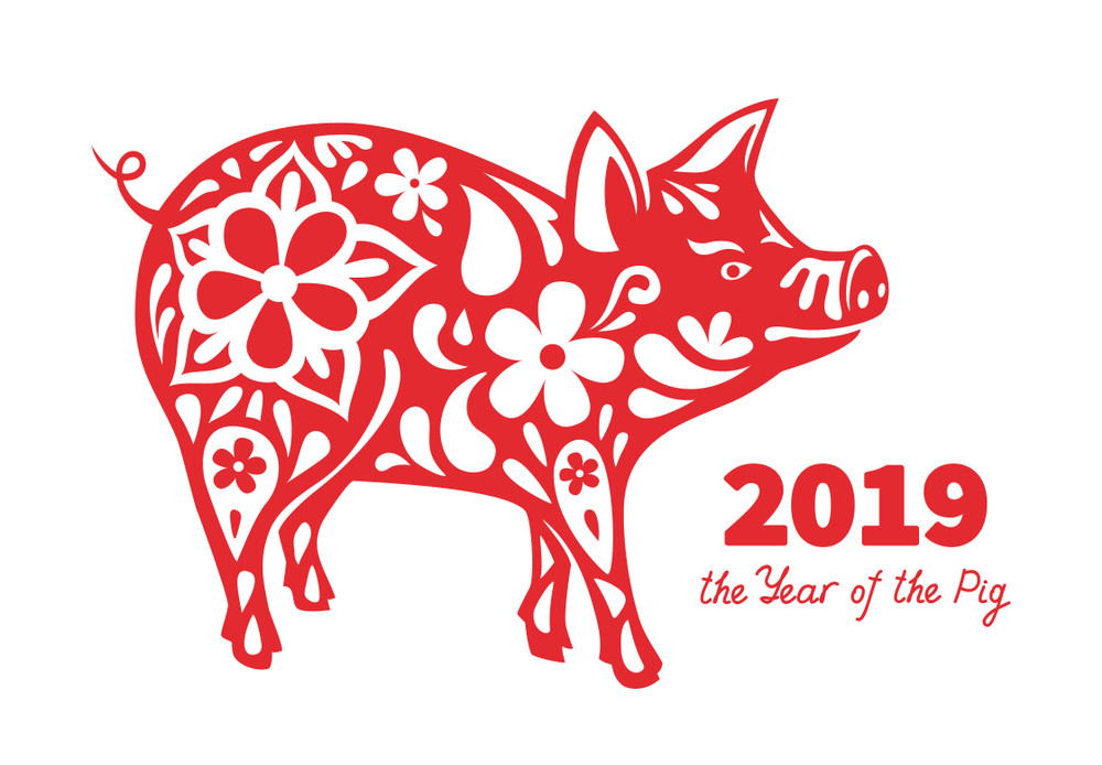 pig is a symbol of the 2019 chinese new year