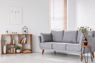 plant on wooden table next to grey sofa in natural living room interior with poster. real photo