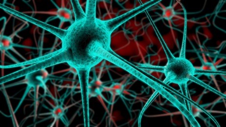 active nerve cells, 3d rendering.conceptual of neuron cells in abstract dark red space, high resolution 3d illustration.