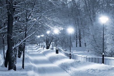 snowy walkway