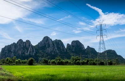 electric pole high voltage with green rice farm and sunrise timing.