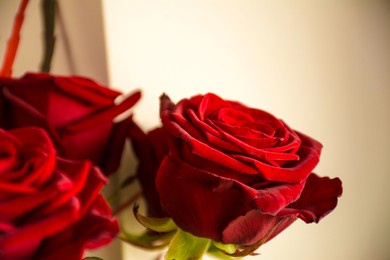 the flower color of the spring