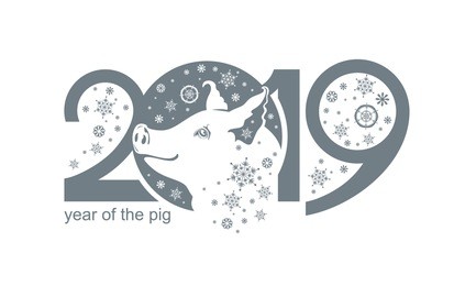 year of the pig 2019. vector template new year's design on the chinese calendar. 