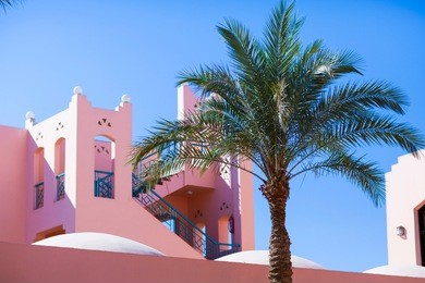 simplicity in detail. pink house. tree. palm tree. blue sky and pretty view. egypt. summer. hurghada. red sea.