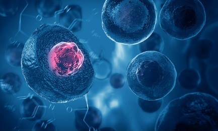 embryonic stem cells , cellular therapy - 3d illustration