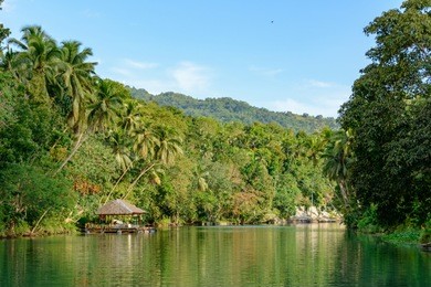 loboc river in philippines, bohol island