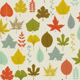 autumn leaves pattern - seamless pattern with colorful fall leaves on a neutral background, including maple, oak, birch, beech, walnut and hazel tree leaves