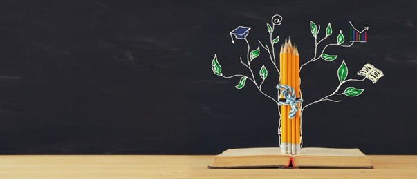 back to school concept. tree of knowledge sketch and pencils over open book in front of classroom blackboard