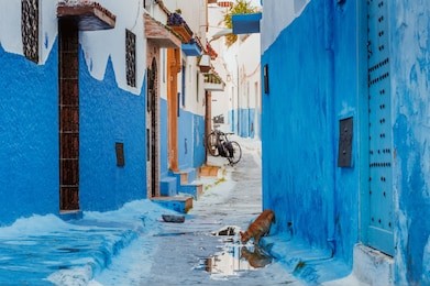 small streets in blue and white in the kasbah of the old city rabat in marocco on a sunny day