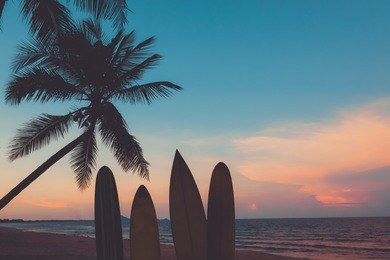 silhouette surfboard on tropical beach at sunset in summer. seascape of summer beach and palm tree at sunset. vintage color tone