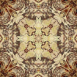 art nouveau colorful ornamental vintage pattern in brown