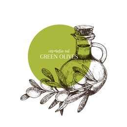 hand drawn set of essential oils. vector green oilve branch. medicinal herb with glass bottle. engraved art. good for cosmetics, medicine, treating, cooking, package design, food ingredient.