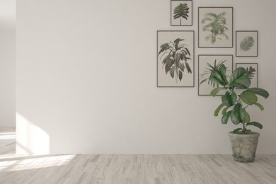white empty room with green flower. scandinavian interior design. 3d illustration
