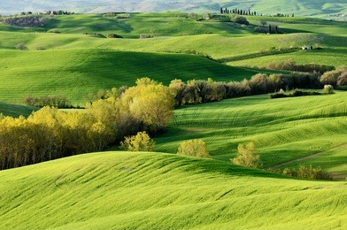 green tuscany landscape in spring time, italy