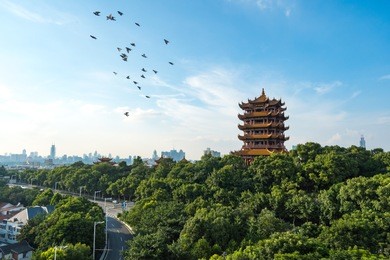 the yellow crane tower , located on snake hill in wuhan, is one of the three famous towers south of yangtze river,china.4 chinese letters on tower is "nang xiong gao gong" means "amazing heaven"