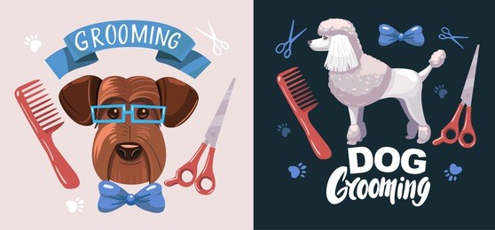 dog grooming. set of vector cartoon objects.