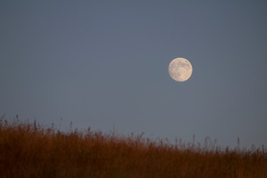 moon rising above a field