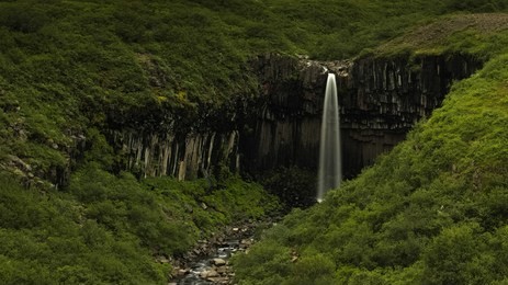 long exposure of svartifoss waterfall from the distance with its water falling over basalt columns. skaftafell national park in southern iceland.