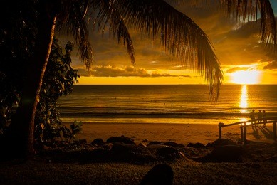 family friend enjoying beautiful colorful colourful sunset at denarau island sandy beach in fiji with palm trees and blue sky for holiday vacation couple honey moon retreat