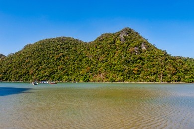 several motorboats with tourists passing by a magnificent limestone formation covered by tropical trees and plants in the kilim geoforest park of langkawi, malaysia.