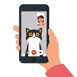 vector illustration person having video call with her cat, people video call with their pet