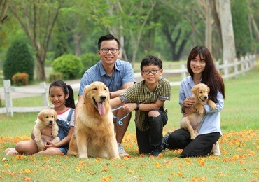happy family playing with a cute golden retriever dog in the park.