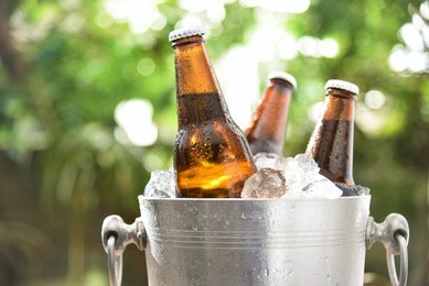 beer bottle chilled in wine cooler green garden background