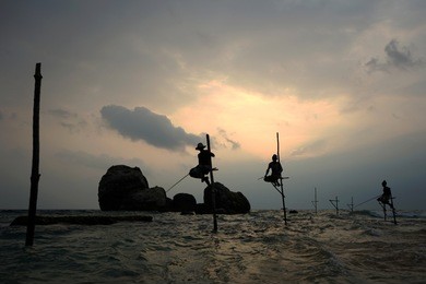 sunset view of sri lankan stilt fishermen, near koggala, galle, sri lanka