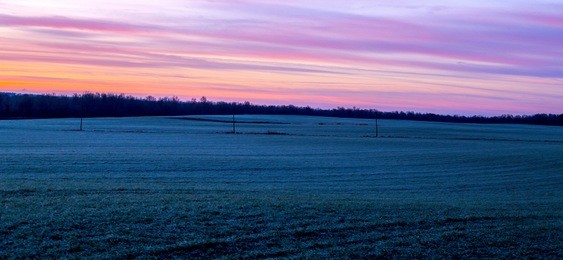 american frosty grassland