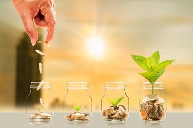 investor hand hold and drop a gold coin in the bottle and plant growing with savings money on photo blur cityscape on sunlight background, business investment and saving money concept.
