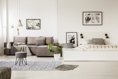 real photo of a grey sofa standing next to a bed in monochromatic, spacious room interior with lamps, posters, rug and plant