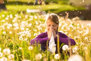 girl sitting in a meadow with dandelions and has hay fever or allergy