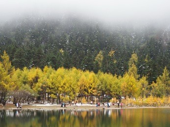 tourists visiting bipenggou valley in li county, aba, china in autumn for waterfall, mountains, and colorful leaves. 