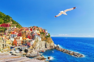 manarola, italy, national park cinque terre, unesco world heritage list. seagull soar over  gorgeous panorama of coastal village manarola. idyllic picturesque scenery, vacation background. landmark.
