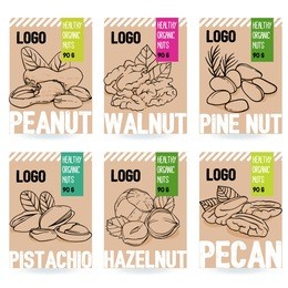 beautiful vector hand drawn organic nut card set. walnut, pine nut, pistachio, peanut, hazelnut, pecan. template collection for packaging design. modern illustrations isolated on white background.