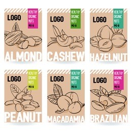 beautiful vector hand drawn organic nut card set. almond, cashew, hazelnut, peanut, macadamia, brazilian nut. template for packaging design. modern illustrations isolated on white background.