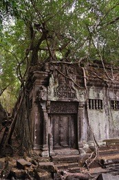 beng mealea jungle temple, angkor, cambodia
