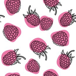 raspberry seamless pattern on isolated white background