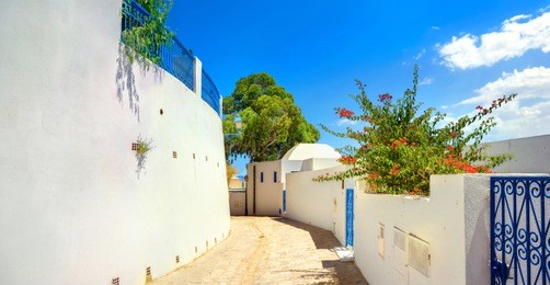 street in white blue town sidi bou said. tunisia, north africa  