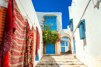 street in white blue town sidi bou said. tunisia, north africa  